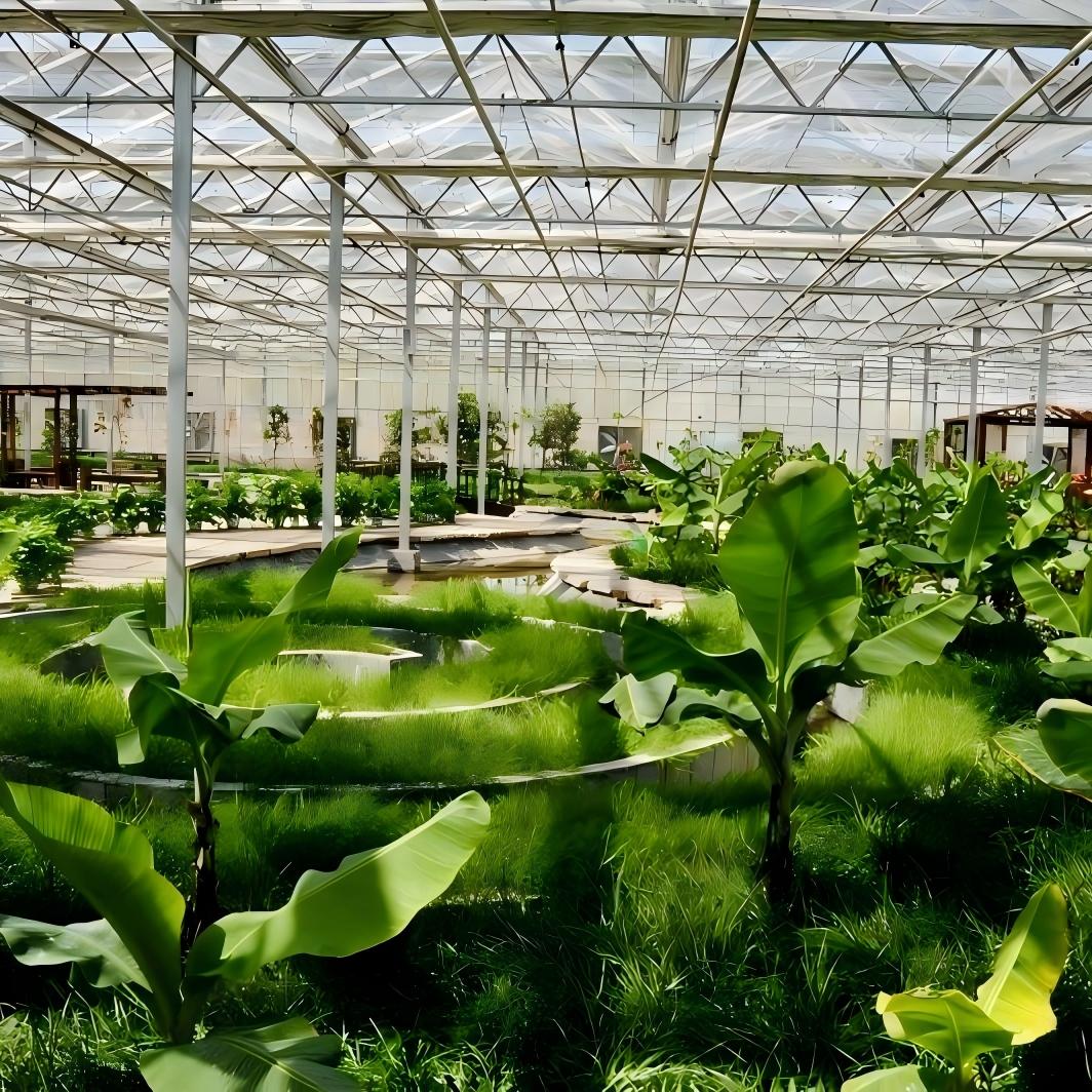 Commercial Growing Greenhouse for Crop Cultivation